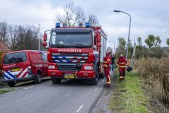 Opnieuw-paard-in-de-sloot-Stadsweg-Garrelsweer_5884