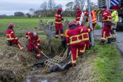 Opnieuw-paard-in-de-sloot-Stadsweg-Garrelsweer_6173