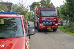 Paard-in-de-sloot-Garrelsweer_6397