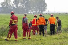 Paard-in-de-sloot-Garrelsweer_6473