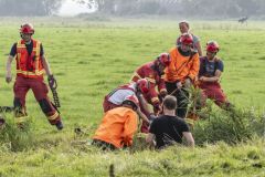Paard-in-de-sloot-Garrelsweer_6614
