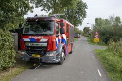 Paard-in-de-sloot-Garrelsweer_6659