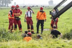 Paard-in-de-sloot-Garrelsweer_6741