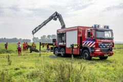 Paard-in-de-sloot-Garrelsweer_6982