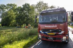 Paard-in-de-sloot-Garrelsweer_5509