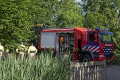 Paard-in-de-sloot-Garrelsweer_5561