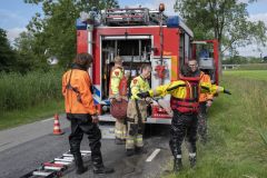 Paard-in-de-sloot-Garrelsweer_5791