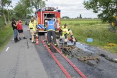 Paard-in-de-sloot-Garrelsweer_5879