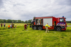 Paard-in-de-Sloot-Biessum_1693