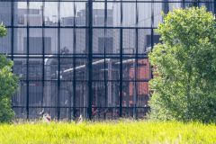 Brandmelding-Google-Eemshaven_4263