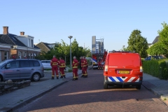 Kat-op-het-dak-Appingedam_2917