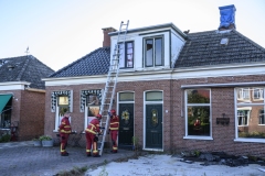 Kat-op-het-dak-Appingedam_2975