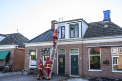 Kat-op-het-dak-Appingedam_3009