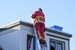 Kat-op-het-dak-Appingedam_3025