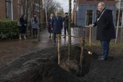 Burgemeestersboom-Appingedam_3870