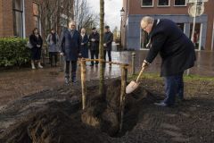 Burgemeestersboom-Appingedam_3881