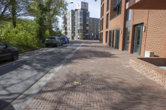 Sporen-schietparij-Delfzijl_2148