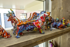 opening-Wad-Anderzz_9752