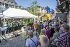 Stadshavenfestival-Appingedam_1450