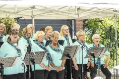 Stadshavenfestival-Appingedam_1465