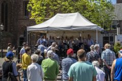 Stadshavenfestival-Appingedam_1482