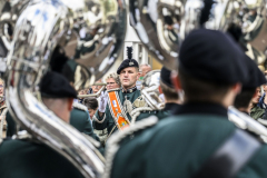 RDZ3628_2549