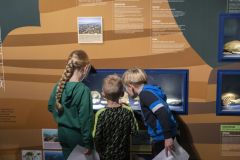 Dinodag-muzee_2739