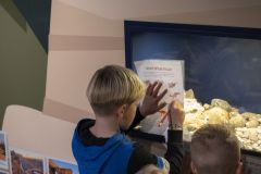 Dinodag-muzee_2751