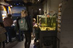 Dinodag-muzee_2771