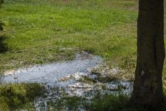 Waterlekkage-Huiberplaat_9273