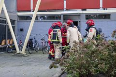 brandjes-Kustwegflat_4314