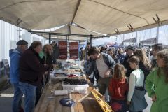 DelfSail-Davine_3315