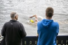 Damster-City-Swim-2024_5787