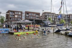 Damster-City-Swim-2024_6125