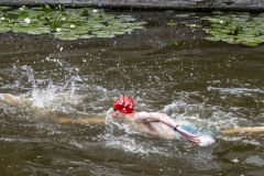 Damster-City-Swim-2024_8371