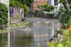 Damster-City-Swim-2024_8404