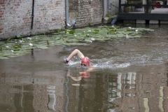 Damster-City-Swim-2024_8415