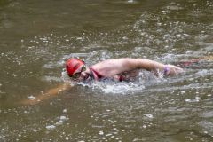 Damster-City-Swim-2024_8613