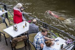 Damster-City-Swim-2024_8717