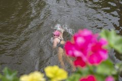 Damster-City-Swim-2024_8888