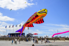 Vliegerfestival-2025_4861