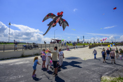 Vliegerfestival-2025_5368