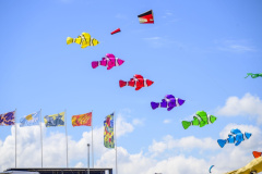 Vliegerfestival-2025_6479