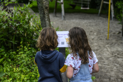 Speeltuin-online-Godlinze_7248