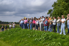 Stoetboom-Holwierde_2698