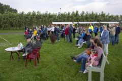 Zandsterfestival6