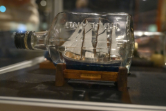 Expositie-De-wereld-in-het-klein_6933