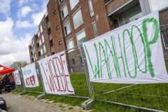 Vlamovenflat_6561