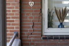 Vlamovenflat_6792