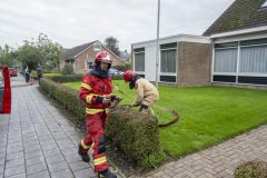 Woningbrand-Regentesselaan-Appingedam_4047